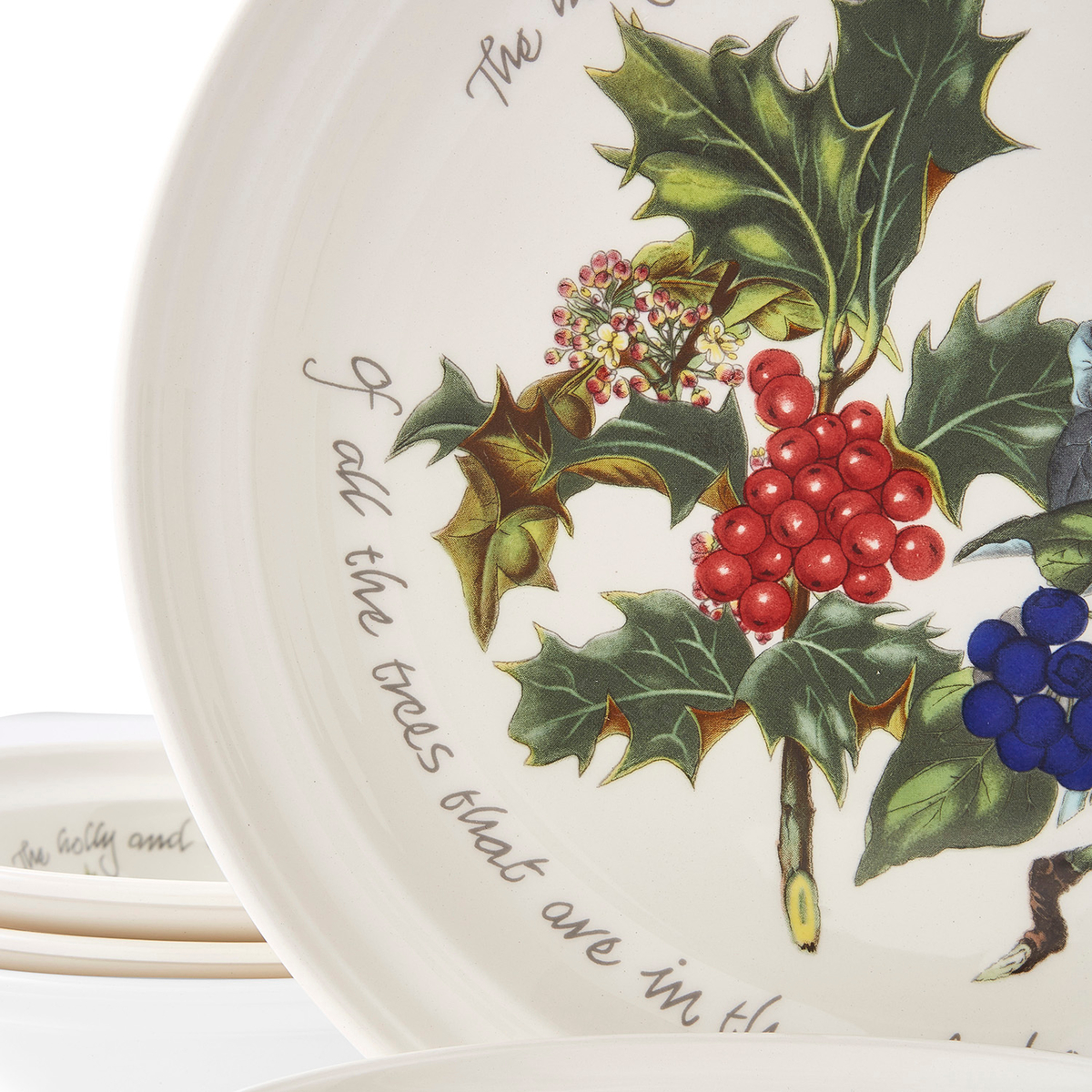 The Holly and the Ivy 12 Piece Dinner Set image number null